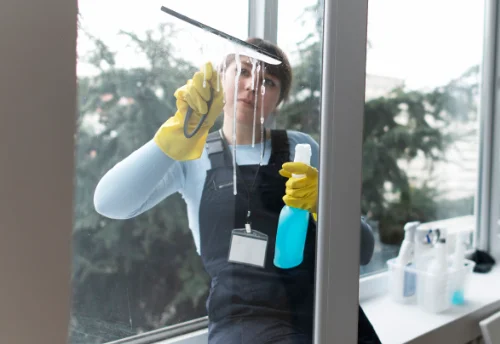 Nettoyage de vitres intérieures et extérieures à Fussy